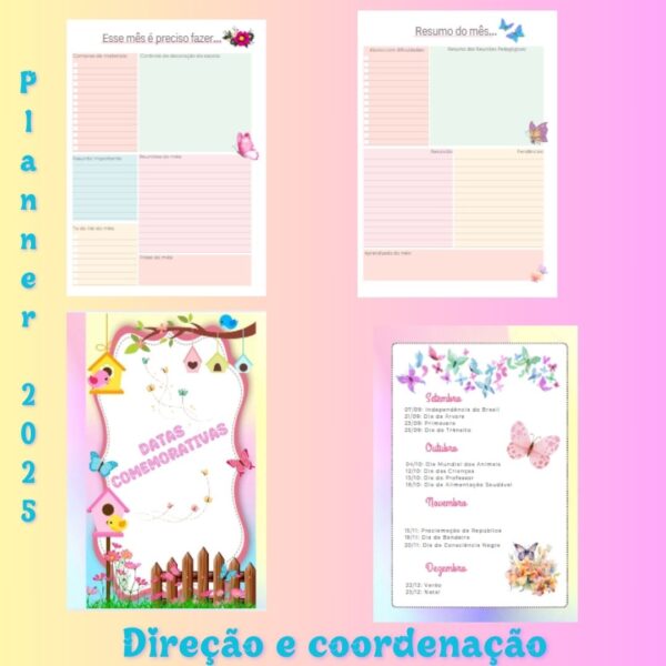 Planner direção e coordenação - Image 5